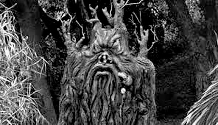 13: DUNGEON POST #2000 / THE MONSTERS OF PAUL BLAISDELL - Part 1