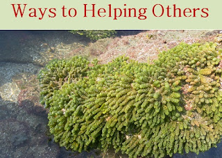Ways to helping others