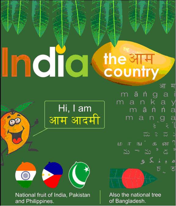 Unparalleled India The world’s largest producer of mangoes