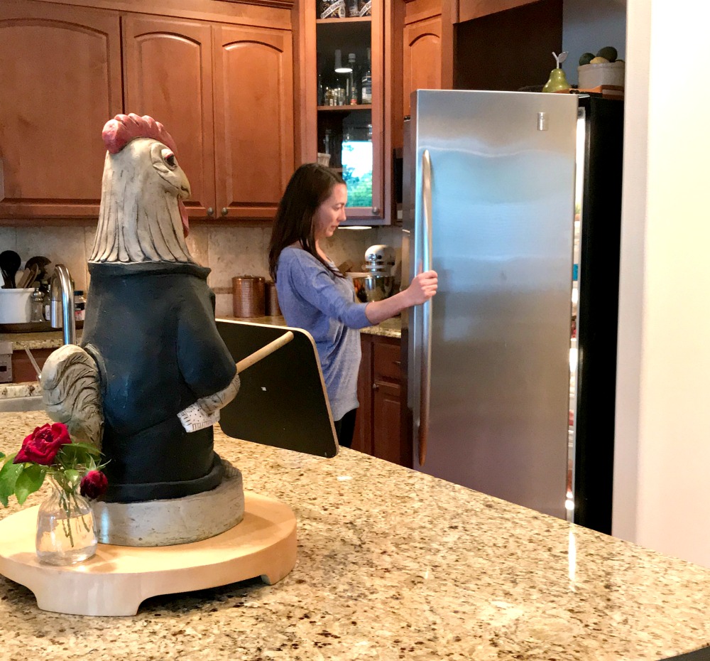 How to Repair Your Own Refrigerator and Save a Service Call