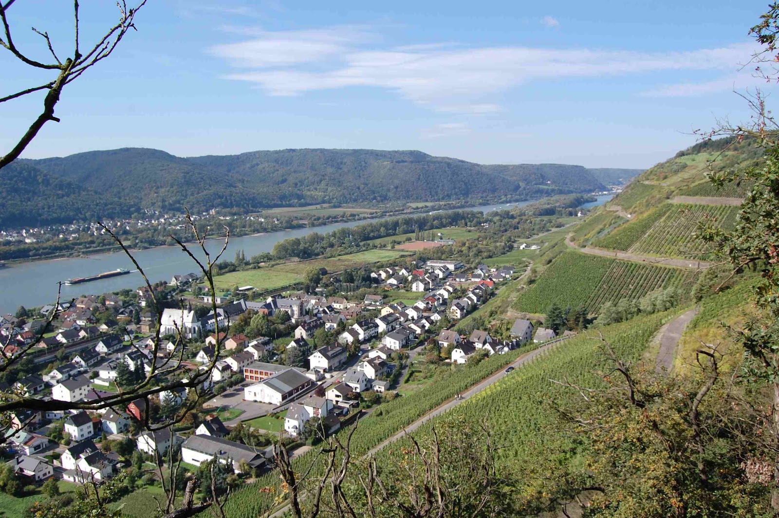 Traumpfad Eltzer Burgpanorama Premiumwanderweg