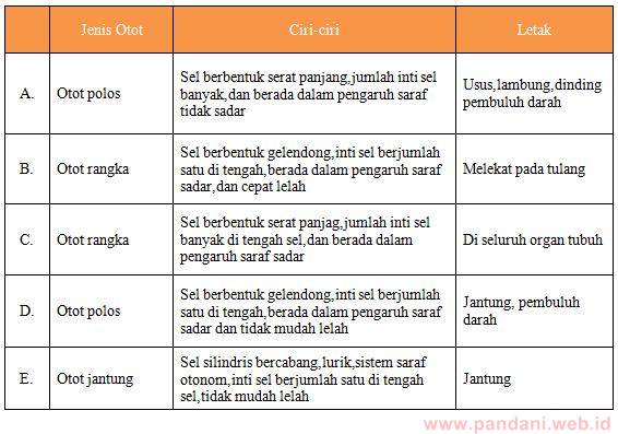 Manakah hubungan yang paling benar antara jenis otot, ciri-ciri, dan