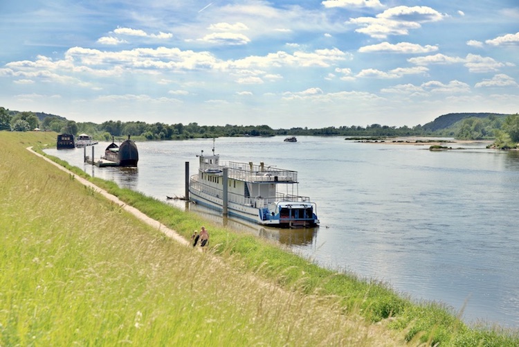Olbrychski Kazimierz Dolny, Ciechowski Kazimierz Dolny, Kazimierz Dolny koguty, Kazimierz Dolny na weekend, Kazimierz nad Wisłą atrakcje, Kazimierz Dolny ciekawostki, Podróże, Kazimierz Dolny atrakcje blog