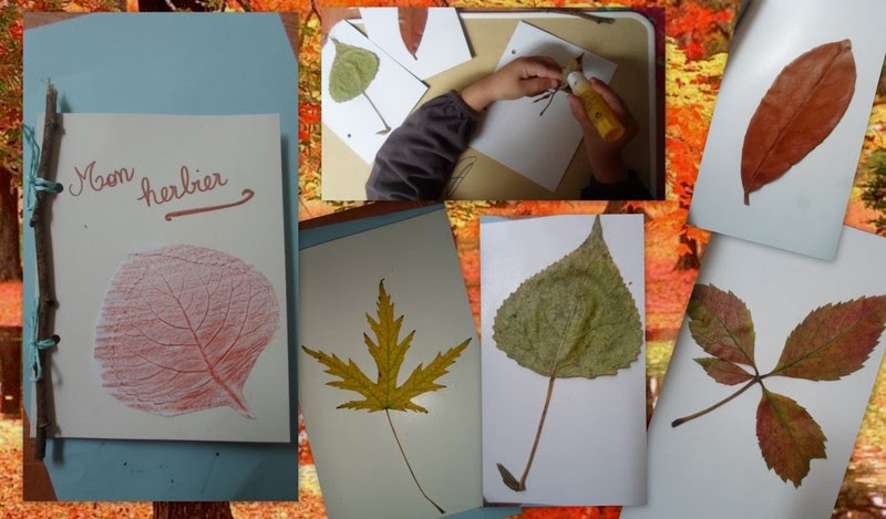 Herbier pour les petits