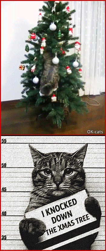 Art Cat GIF • Naughty cat knocked down the Xmas tree but he pleads guilty Art Cat GIF • Naughty cat knocked down the Xmas tree but he pleads guilty