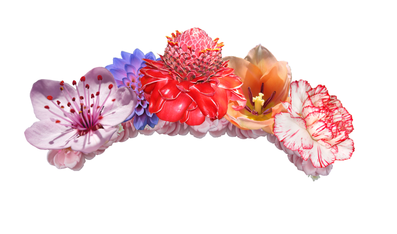 flower crown clip art - photo #18