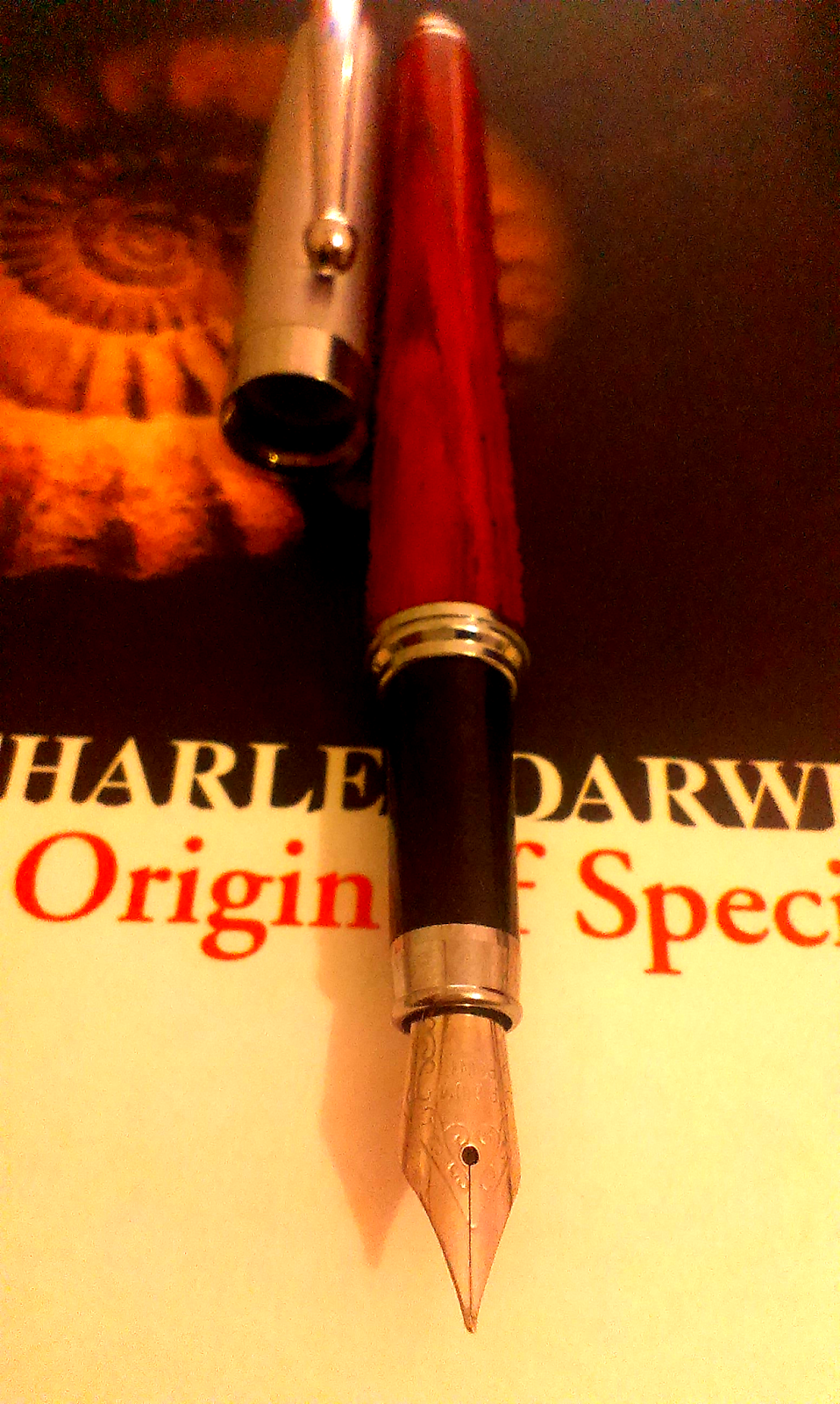 mikro r055bf rb02 ahsap dolma kalem