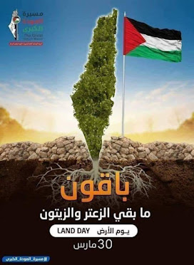 فلسطينُ أرضٌ عربيّة.