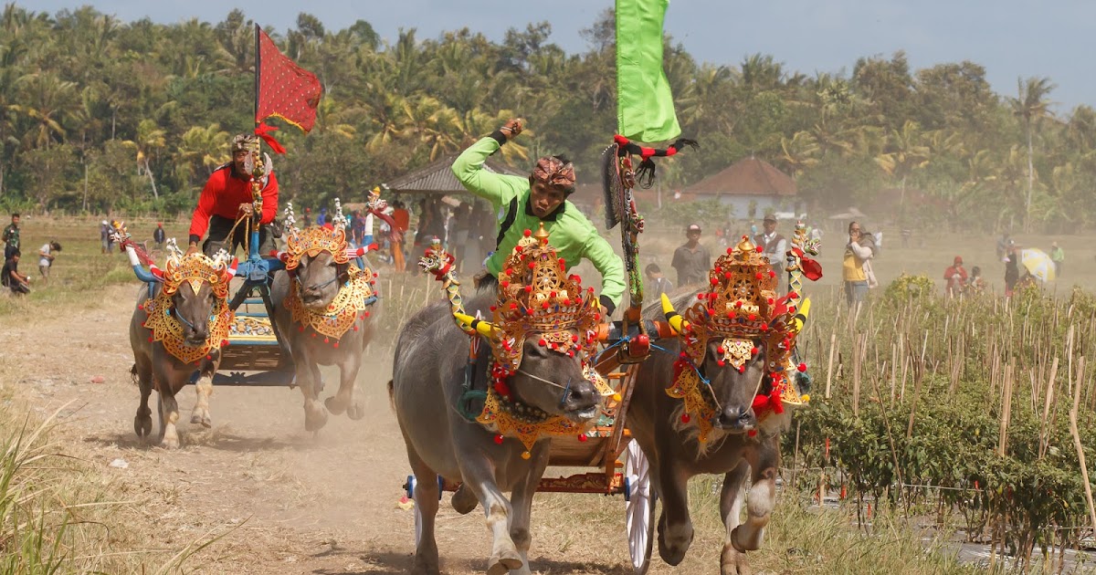 Keunikan Tradisi Dan Budaya Khas Indonesia Travel
