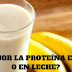 ¿ES MEJOR LA PROTEÍNA EN AGUA O EN LECHE?