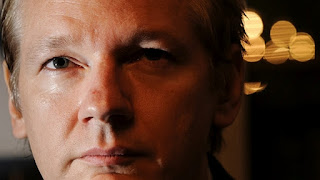 Julian Assange, Mr. Wikileaks'