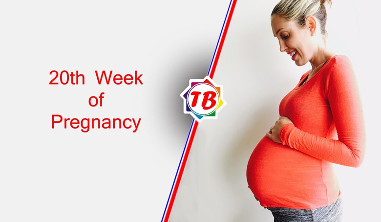 20th week of pregnancy