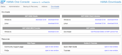 Configuring SAP HANA One