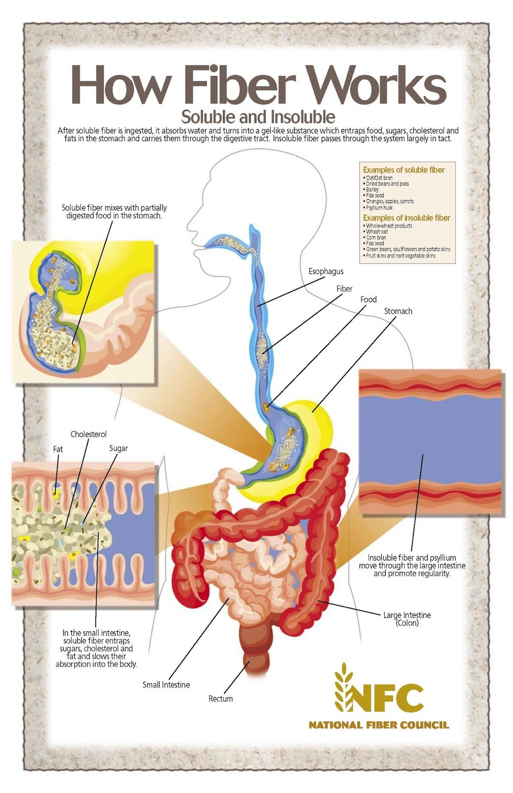 Infographic037 jpg 1 036 1 600 Pixels Infographic Health Health And infographic037-jpg-1-036-1-600-pixels-infographic-health-health-and