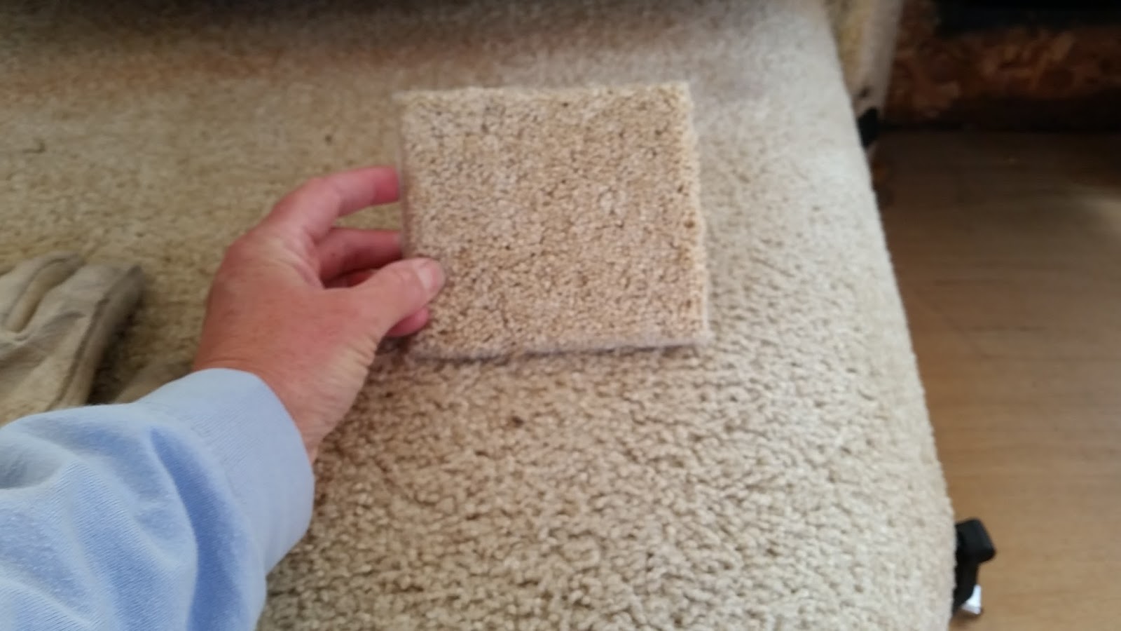 4 Dog Craziness RV Carpet replacement.