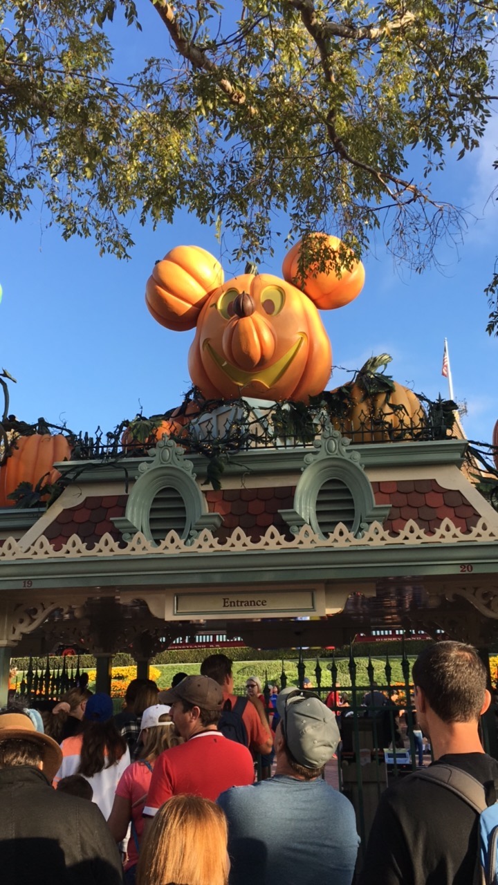 THE pepper EXPRESS Disneyland 2016 and SoFabUOTR