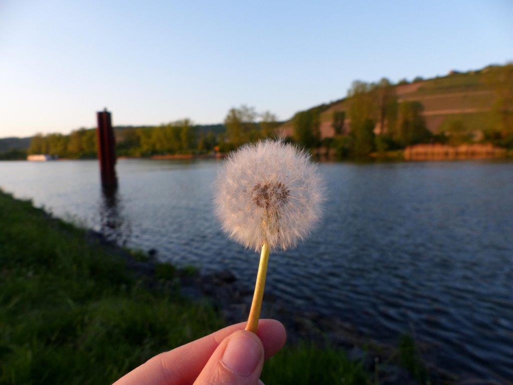 3 Bp Blogspot Com 0agkw Bpd80 Tmu0lwygkpi Aaaaaaaacia Wjnsnsgynr4