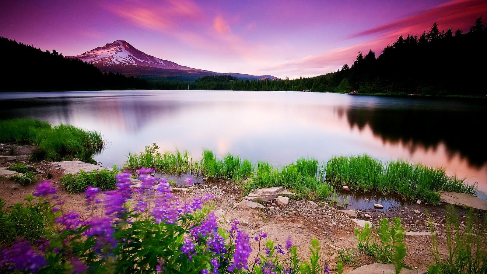 Wallpaper Hd Nature Wallpaper Hd Nature