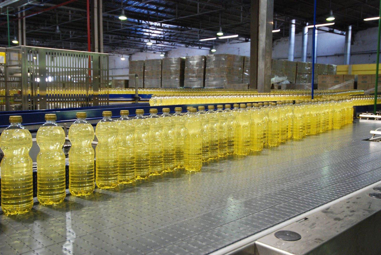 Despertar de Gaia: OS PERIGOS DA SOJA NA ALIMENTAÇÃO