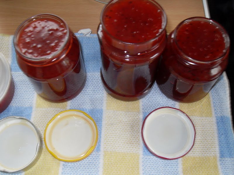 Sanna´s Hexenküche: Stachelbeer-Nektarinen Marmelade