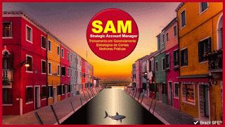 SAM - Treinamento em Gerenciamento Estratégico de Contas - Melhores Práticas