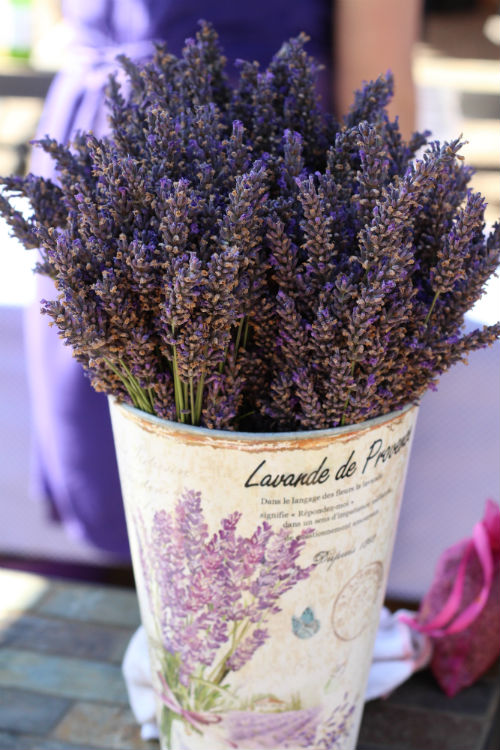 Passport and Toothbrush: Mayfield Lavender Farm
