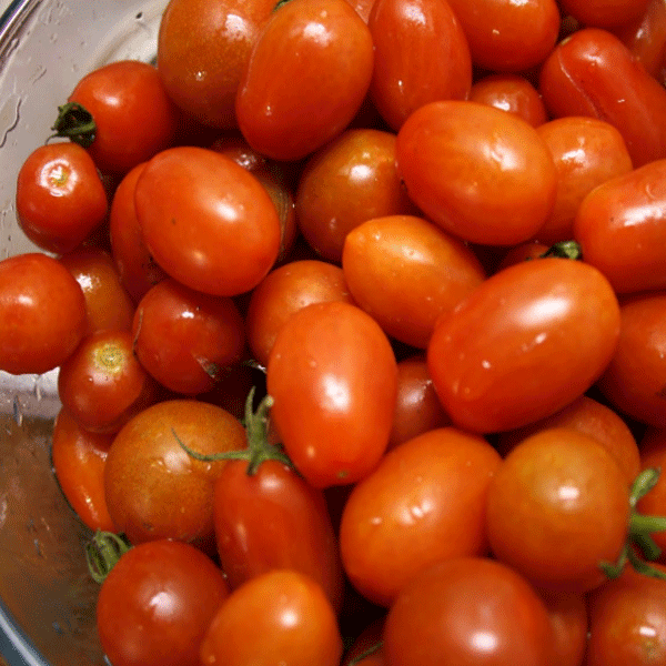 manfaat-tomat-plum