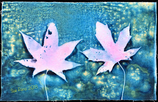 Wet cyanotype_Sue Reno_Image 284
