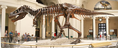 Esqueleto Tyrannosaurus Rex