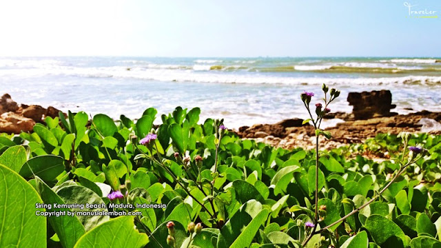 Pantai Siring Kemuning Madura