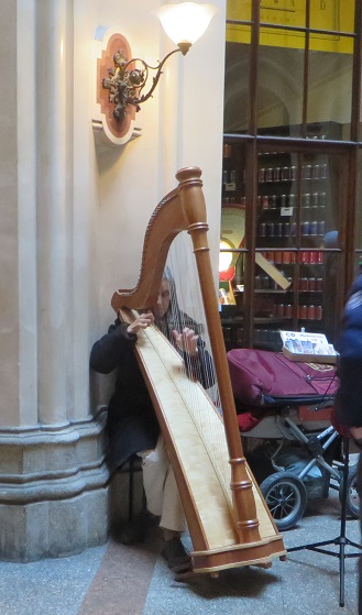 A wonderful harpist on a cold winter's day in Vienna
