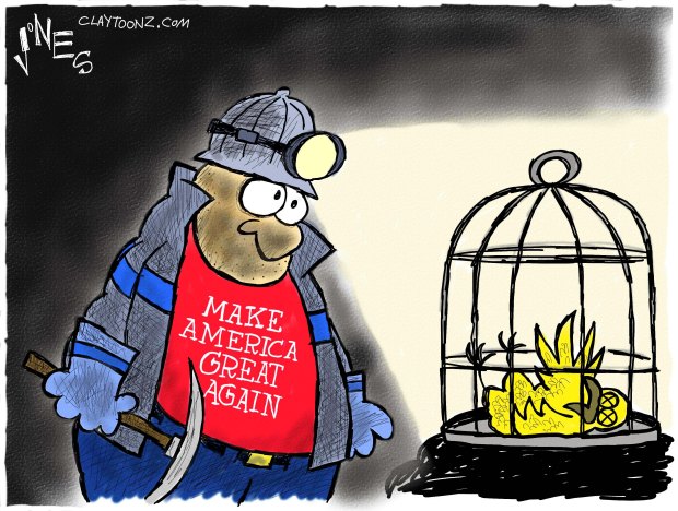 Coal miner wearing Trump tee shirt looks at canary lying dead in its cage.