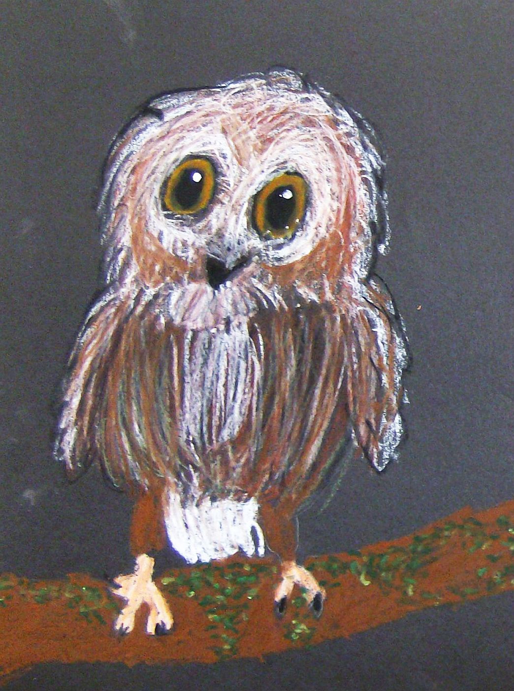 Blackfoot Art Center Hooty Owls in Oil Pastel
