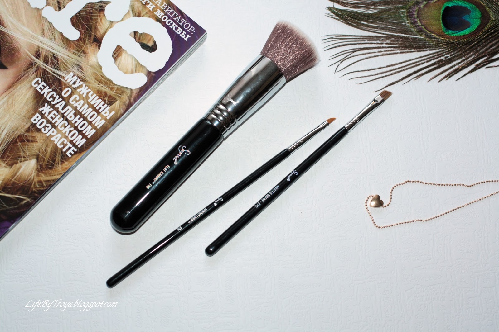 Review Sigma Flat Kabuki Brush F80, Winged Eyeliner Brush E06, Angled