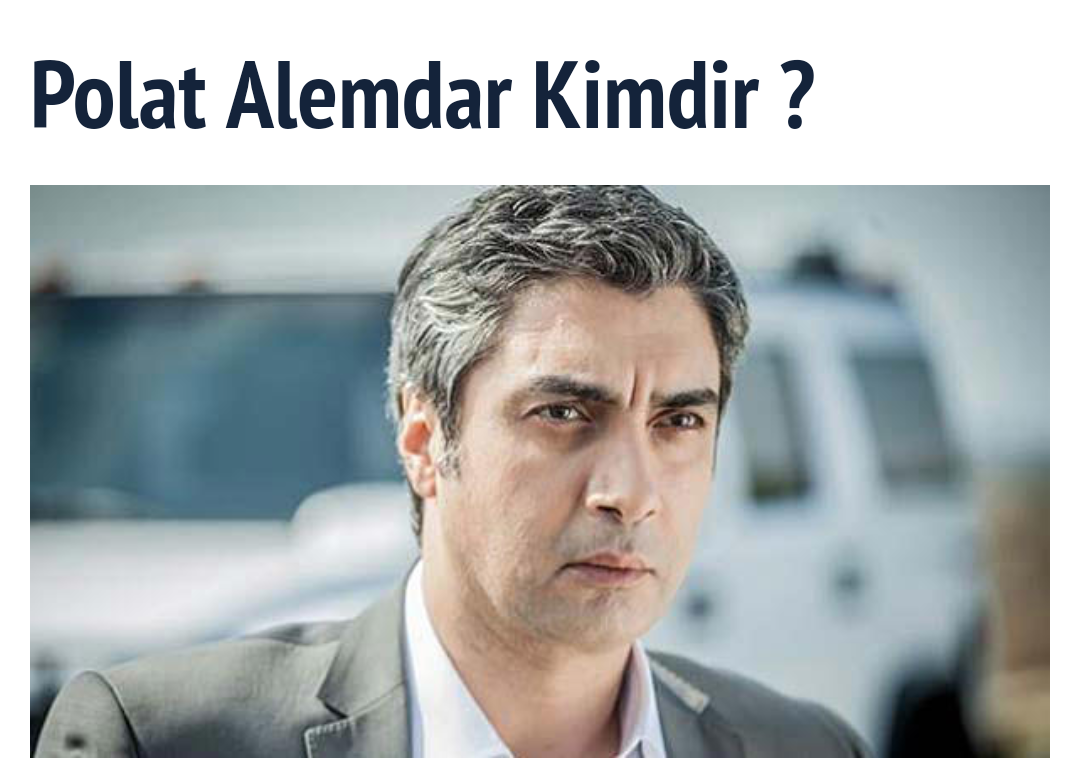bir fikrim var polat alemdar kimdir
