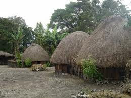 RiaPisc s Nugraheni Contoh Makalah  Suku Dani Papua 