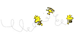 bird flipping gestures flipped study recent ever ravens reveals specific own