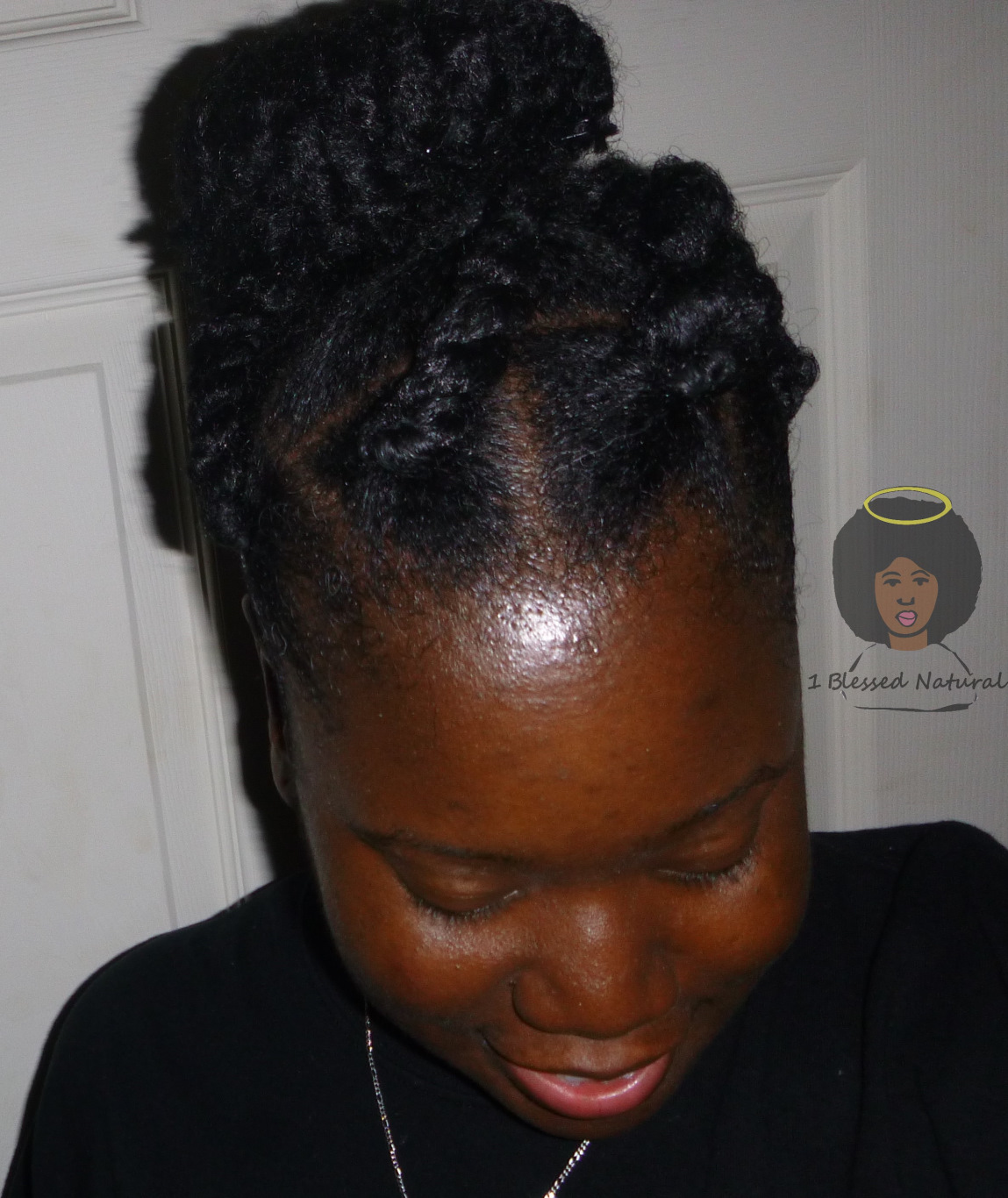 2 Protective Styles With Marley Hair