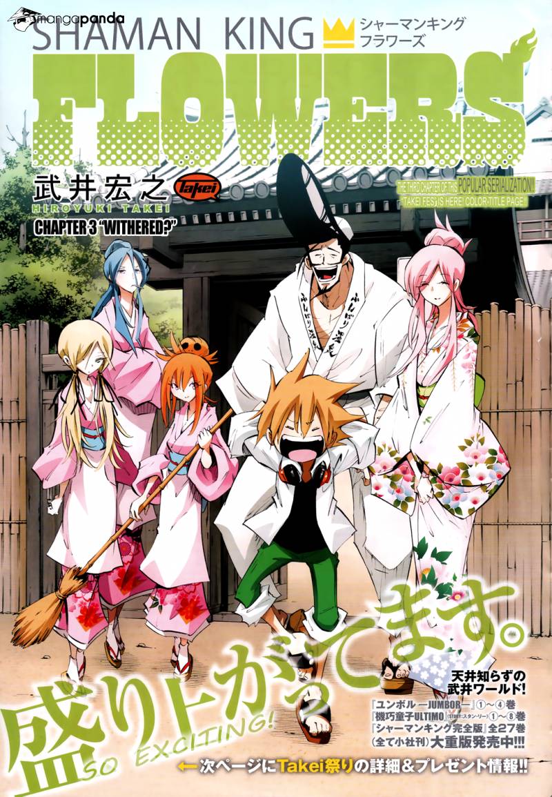 El animero Shaman King Flowers