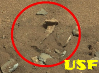Skeletons and bones found on Mars by the Mars Rover.