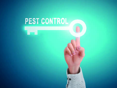 how to start a pest control business