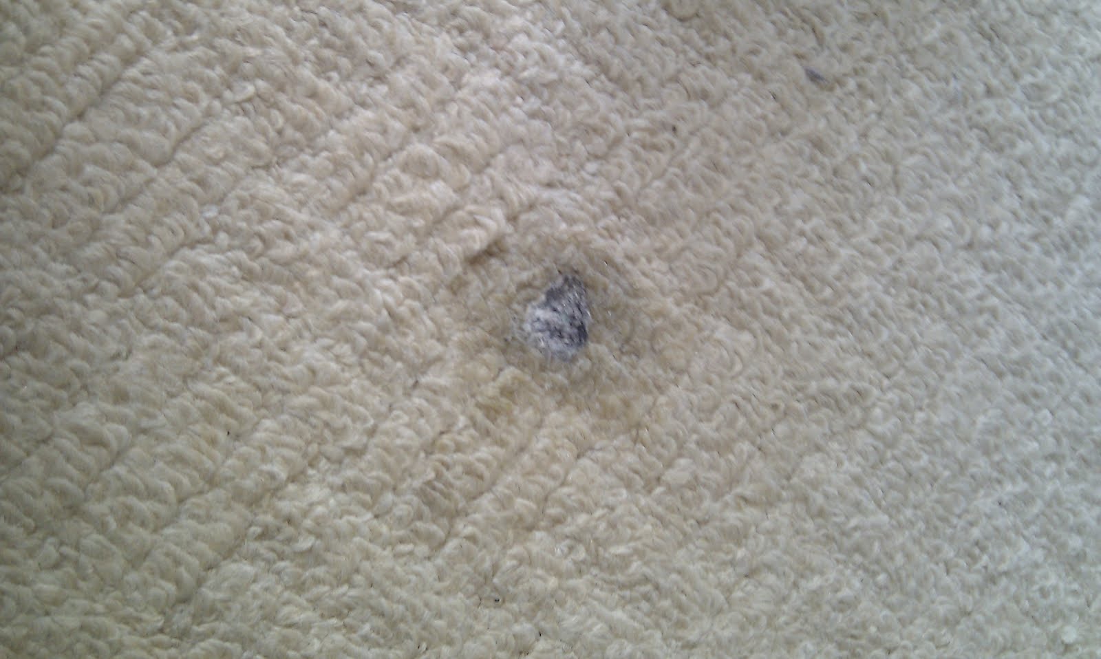 Mrs H the blog How to get chewing gum out of carpets