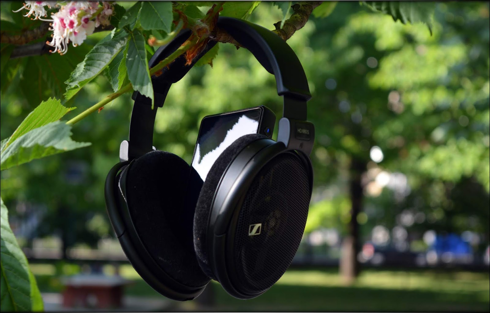 Changing The Status Quo - Sennheiser HD660S Headphones Review
