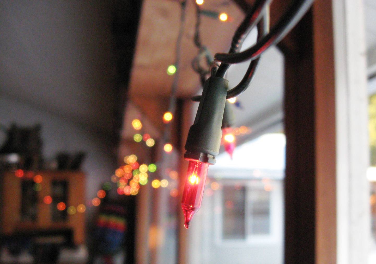 Down To Earth I Leave The Christmas Lights Up All Year