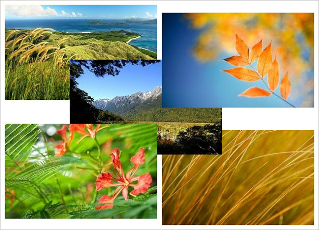 Edius 6 free download for windows 8 64 bit pc Edius 6 free download for windows 8 64 bit pc