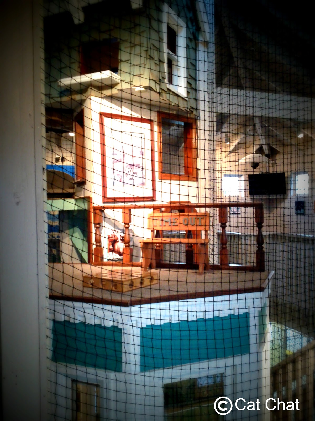 Cat Chat With Caren And Cody The Cat House At Purina Farms Semi Wordy Wednesday