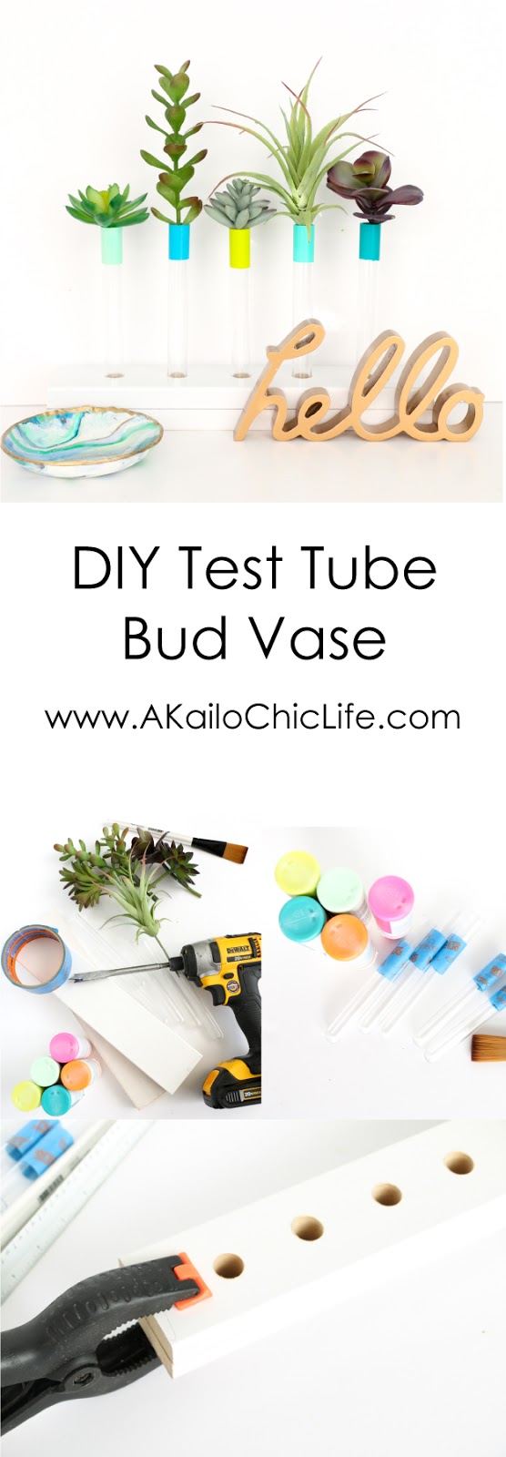A Kailo Chic Life DIY Test Tube Bud Vase