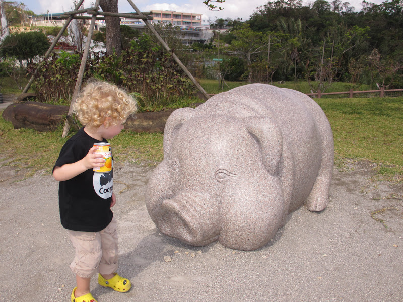 Entertaining Eisenbergs Okinawa Zoo