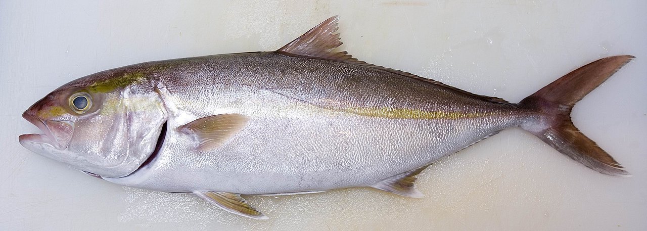 Кахавай Рыба Фото