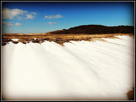 Great Island Trail: Nieve